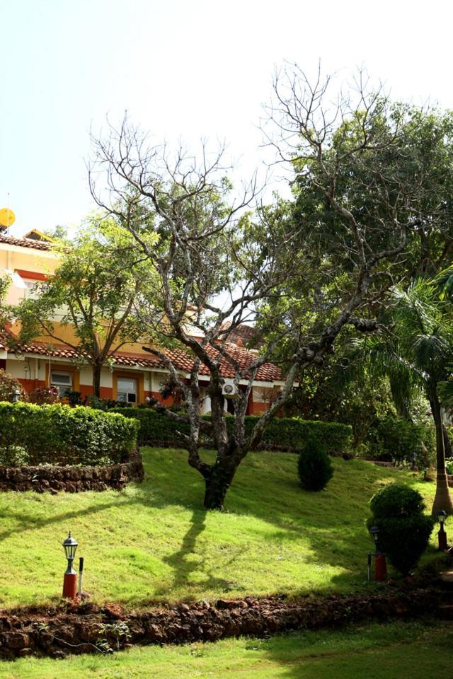 Nirvana Hermitage Anjuna Eksteriør bilde